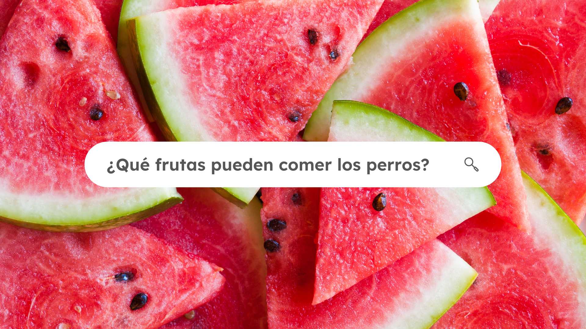 puede un perro comer pieles de manzana