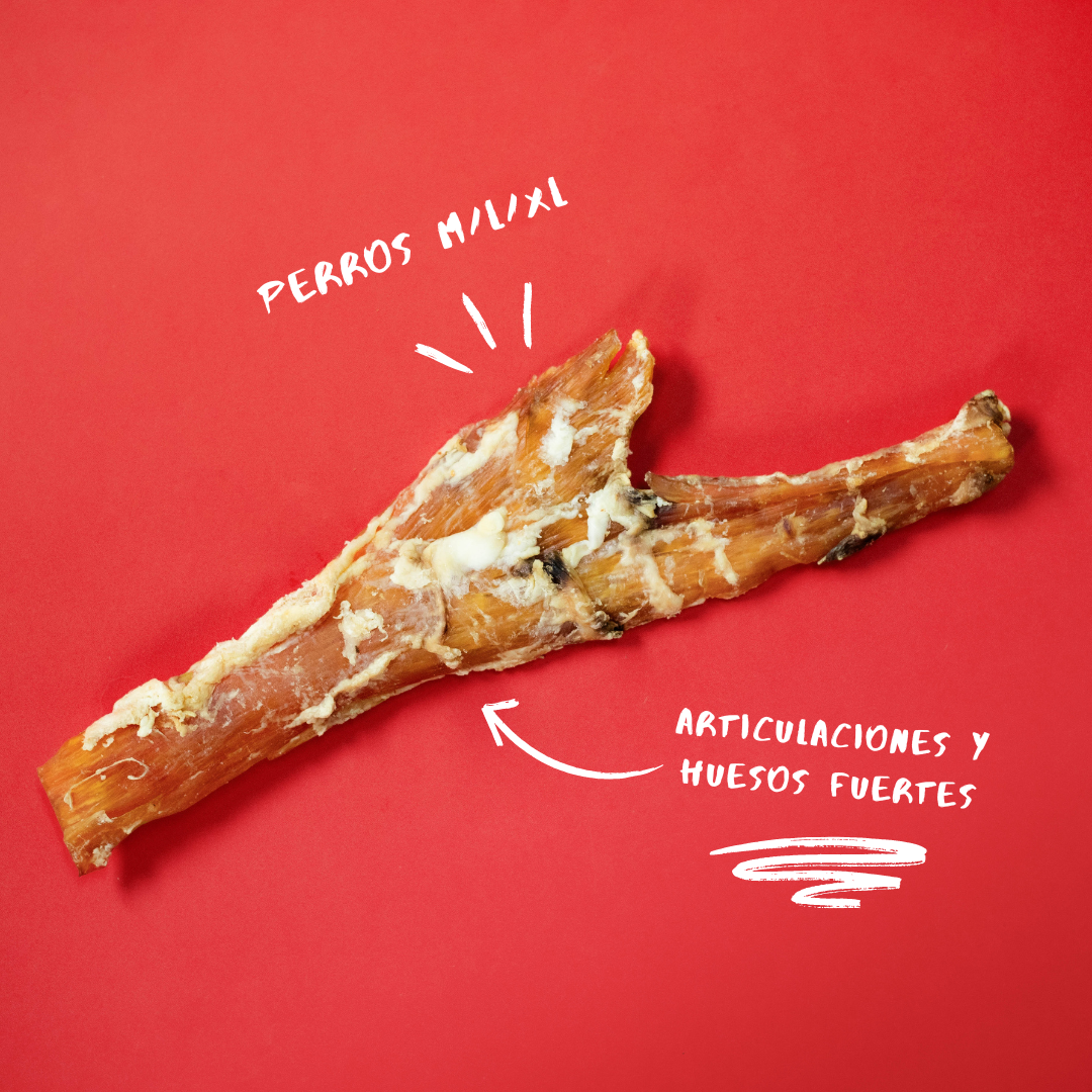 Nervio De Ternera Xl Para Perros | Natuka