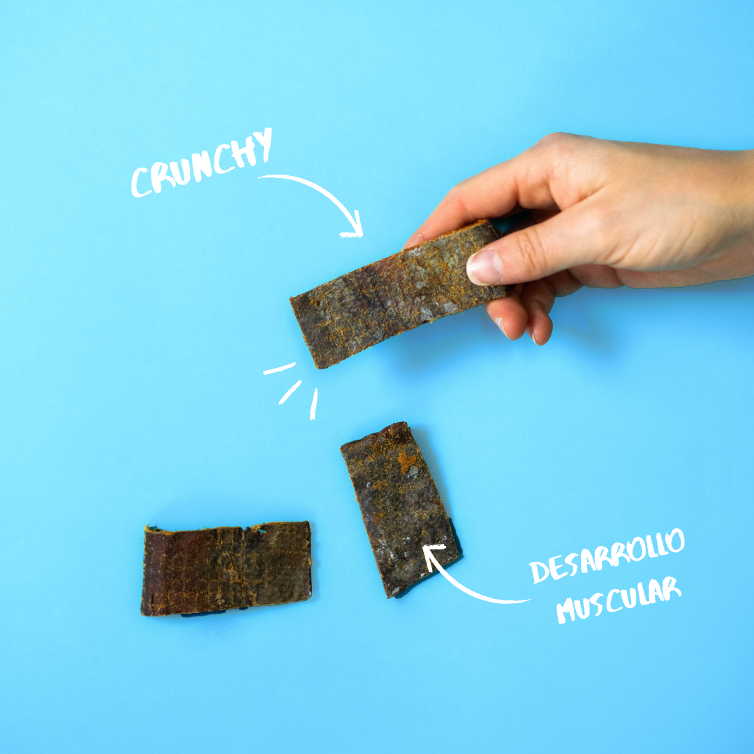 Snack de Bocaditos de Atún para Perros | Natuka