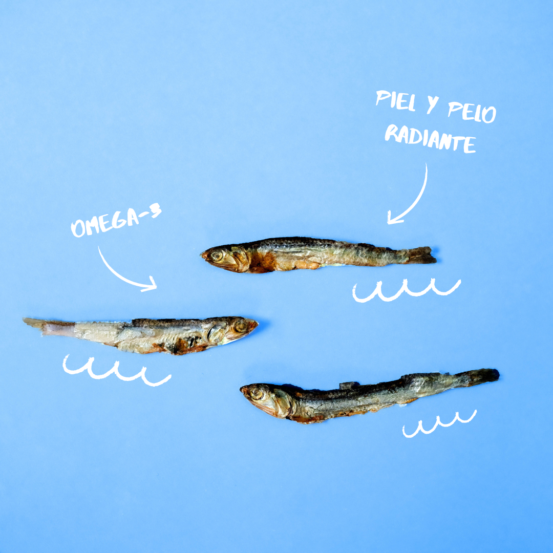 Delicias de boquerón