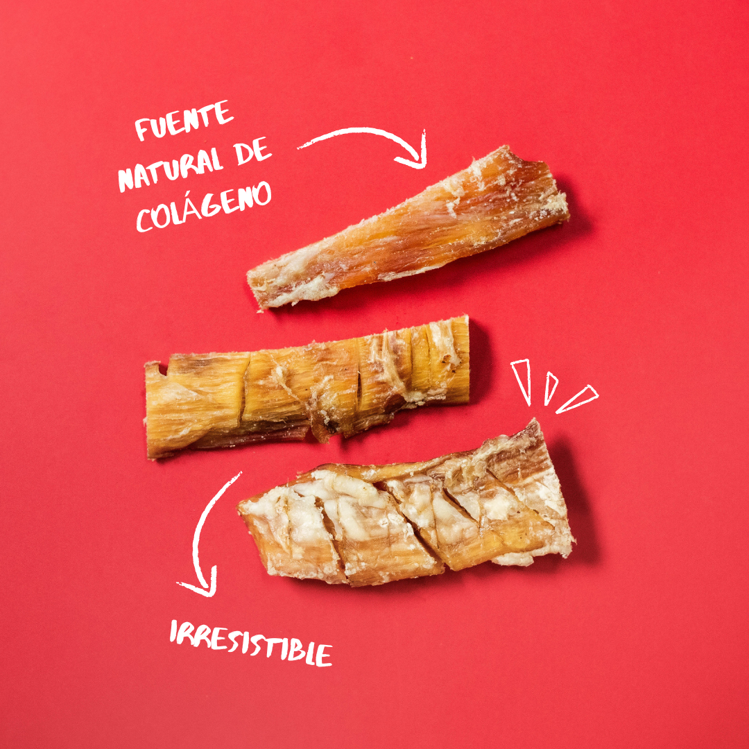 Nervio De Ternera Para Perros | Natuka