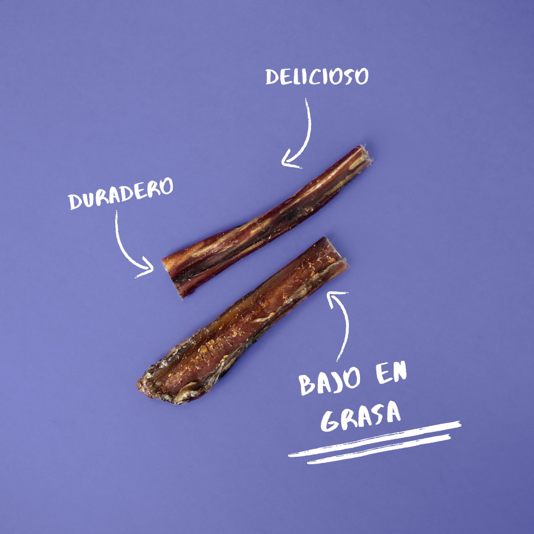 Snack De Nervio De Toro Para Perros | Natuka