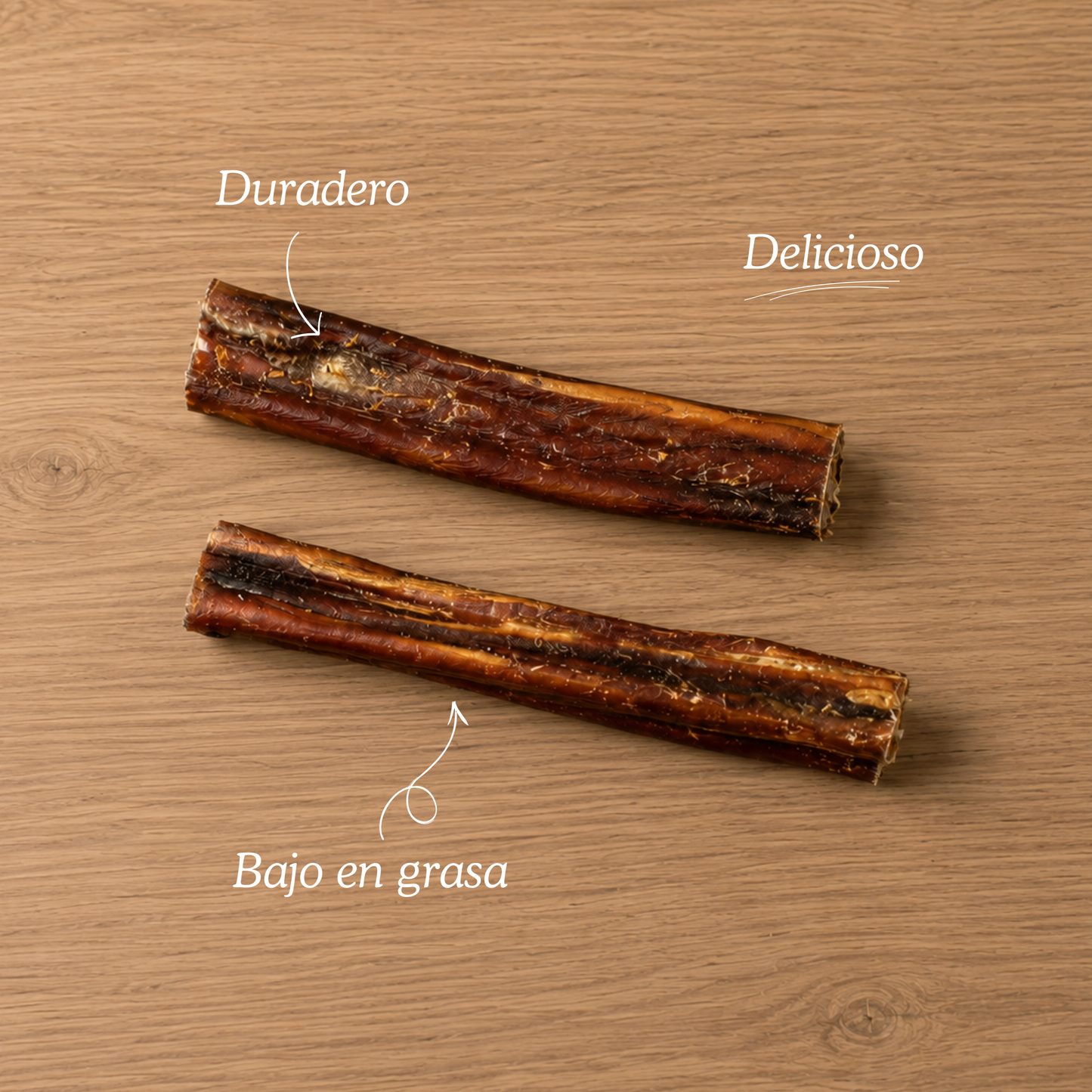 Nervio de toro
