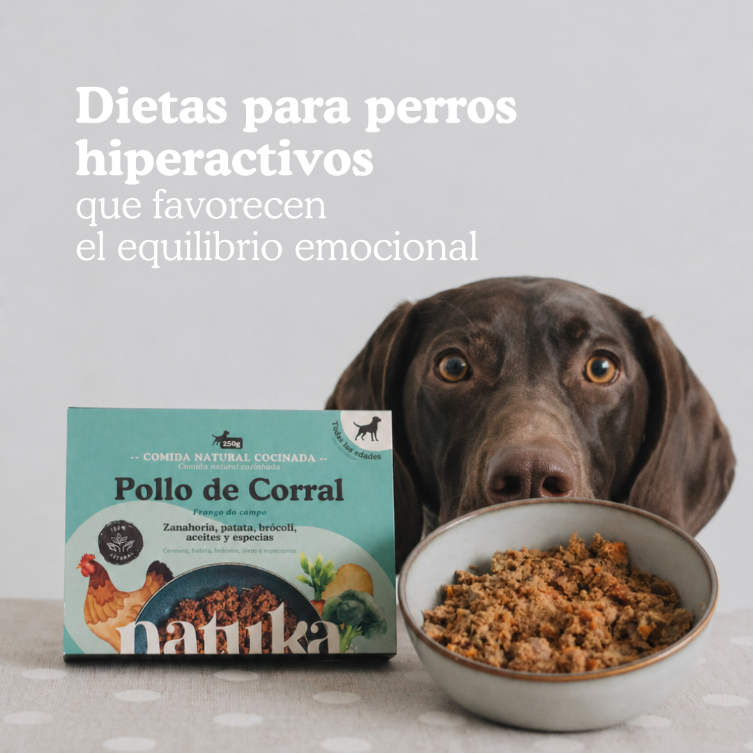 La Conexión Cerebro-Intestino: Dietas para Perros Hiperactivos que Favorecen el Equilibrio Emocional