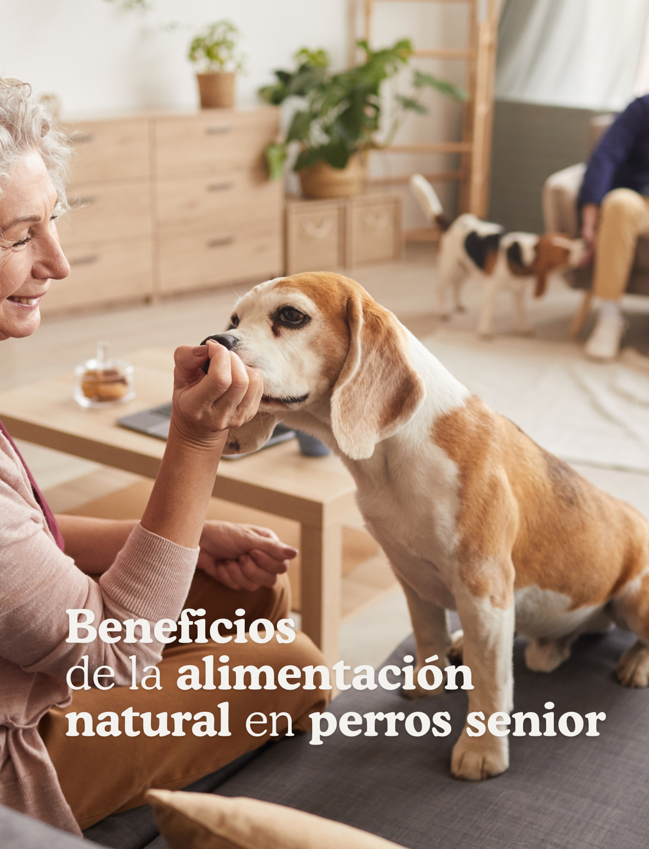 ANIMALES SENIOR y alimentación natural