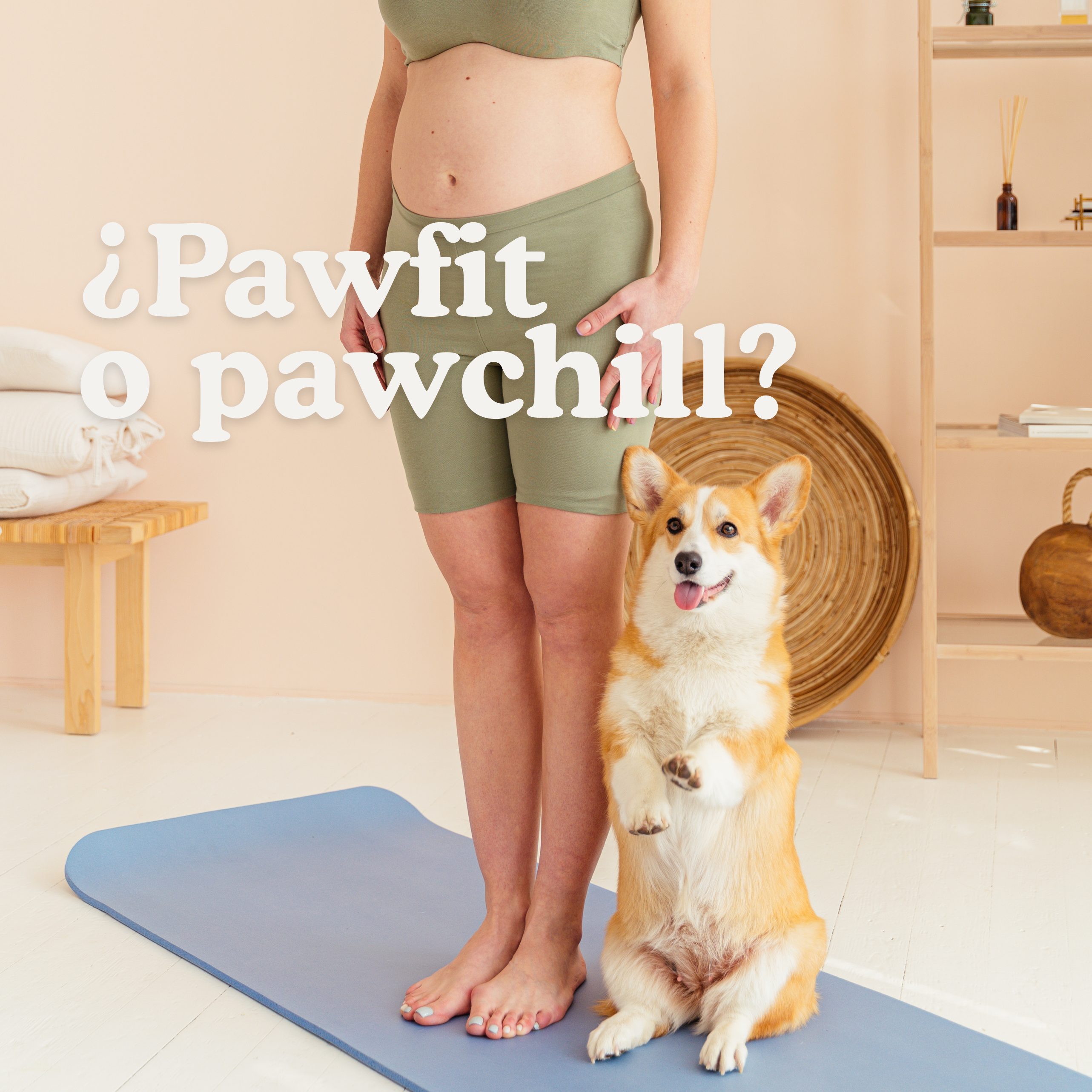 ¿Tu perro o gato está en su peso ideal? Guía completa para evaluar su condición corporal, grasa y masa muscular