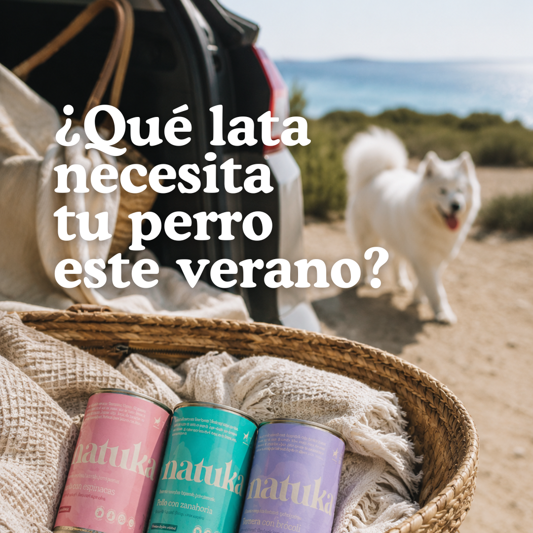 ¿Qué lata necesita tu perro este verano? La guía definitiva para cada plan veraniego 🐶☀️