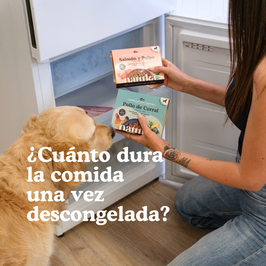 ¿Cuánto dura la comida BARF y la comida cocinada en la nevera? Guía completa de conservación