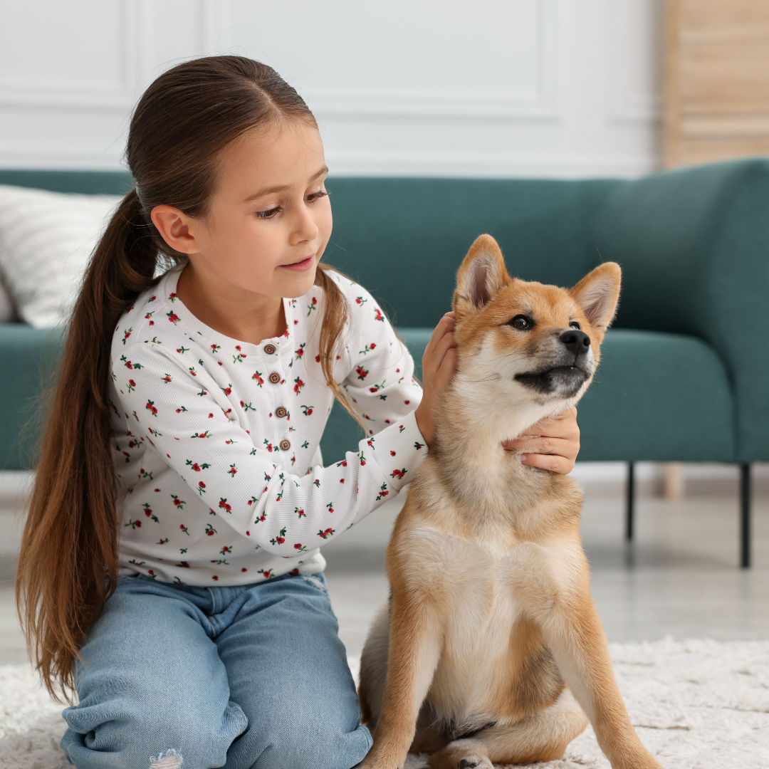 🐶 Niños y perros: beneficios, convivencia segura y mejores actividades juntos