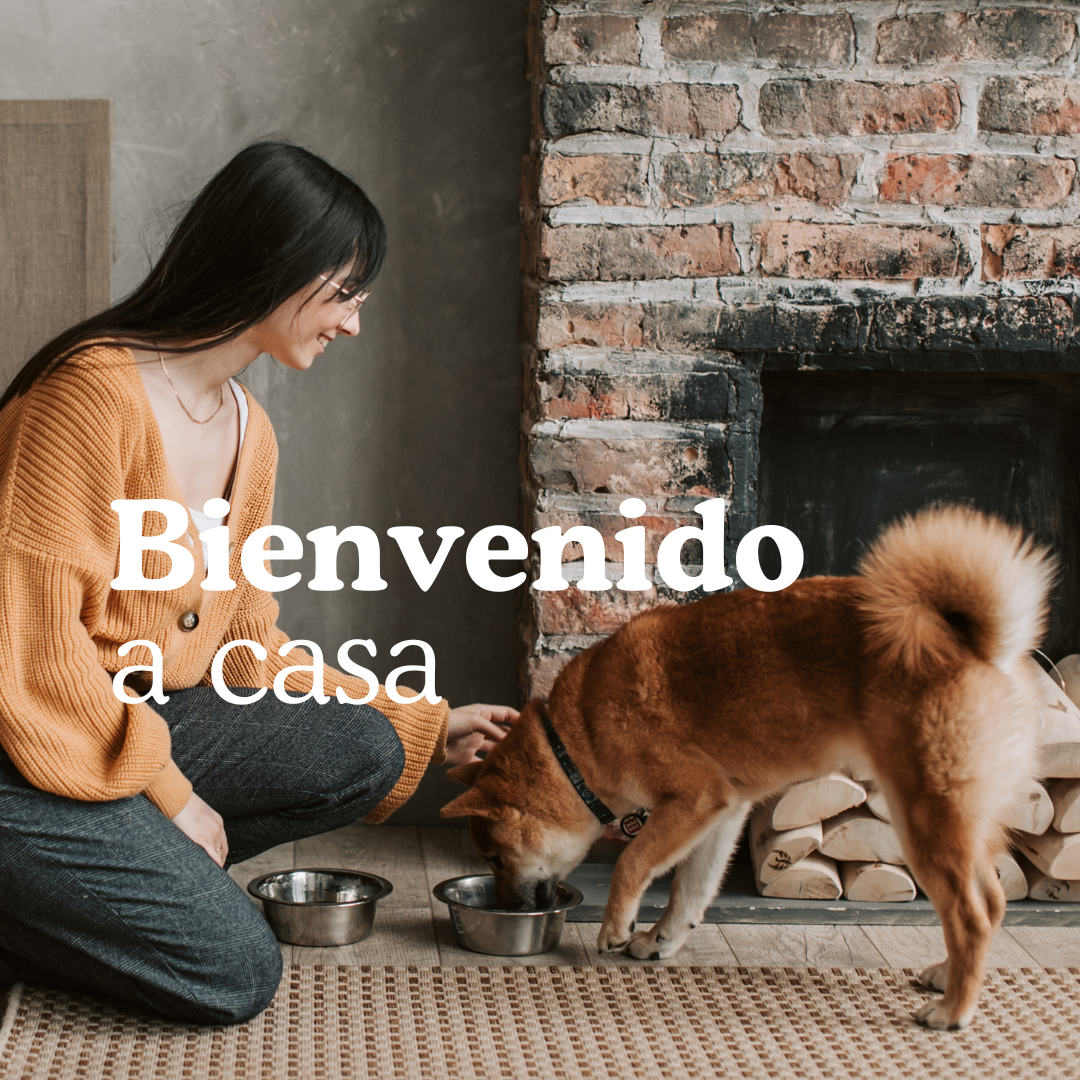 Manual de bienvenida para perros nuevos (y humanos novatos)