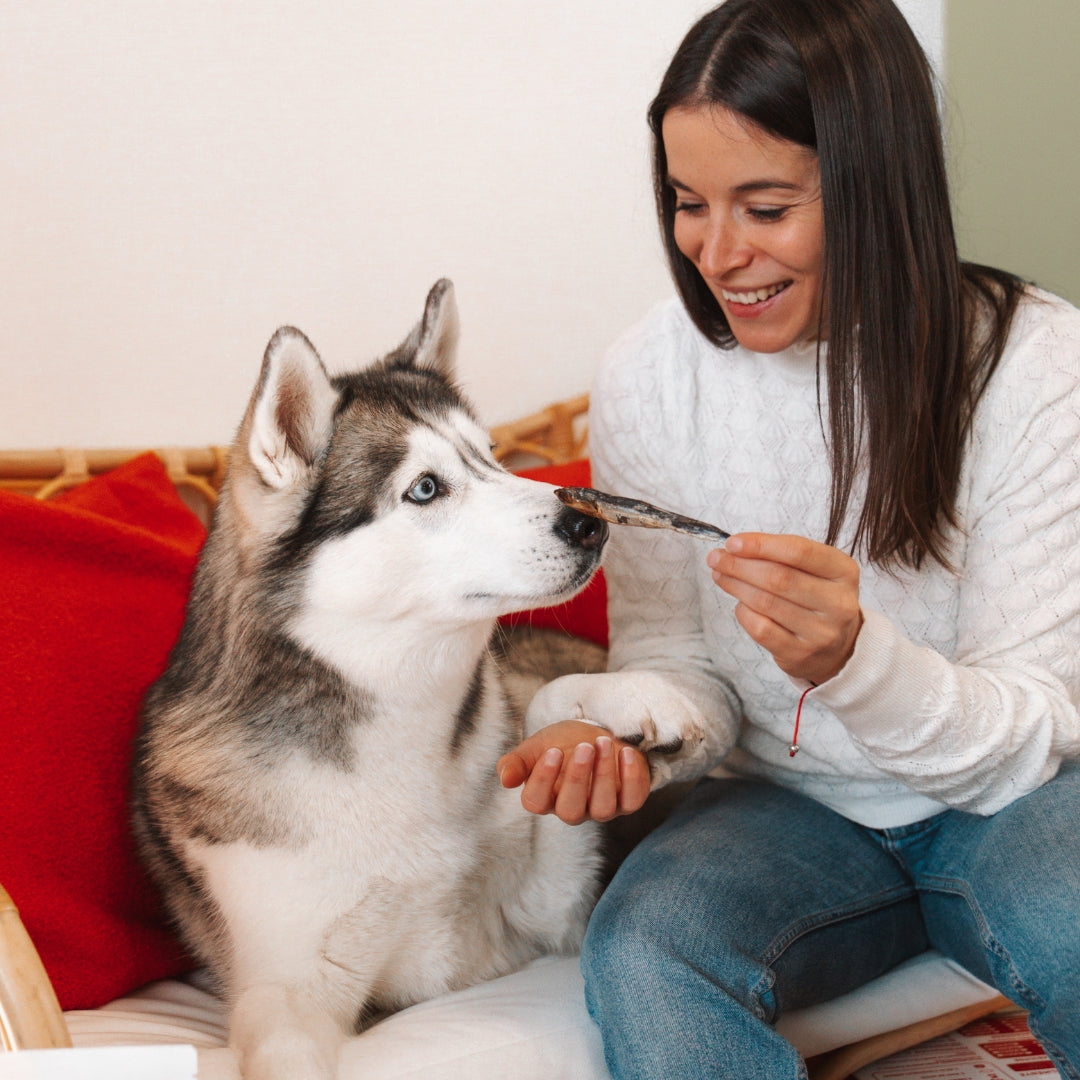 Benefits of natural proteins in Natuka dog food