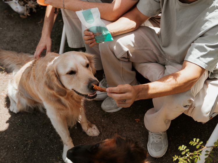 Menús BARF Natuka ingredientes naturales aptos consumo humano perros razas