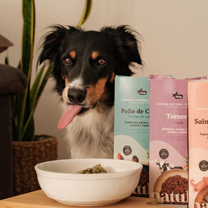 Pack menús cocinados XL para perros (5 unidades) - 800gr