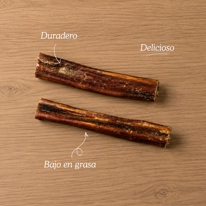Nervio de toro