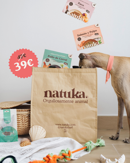Pack de verano (8 menús cocinados + Melva + Bolsa isotérmica)